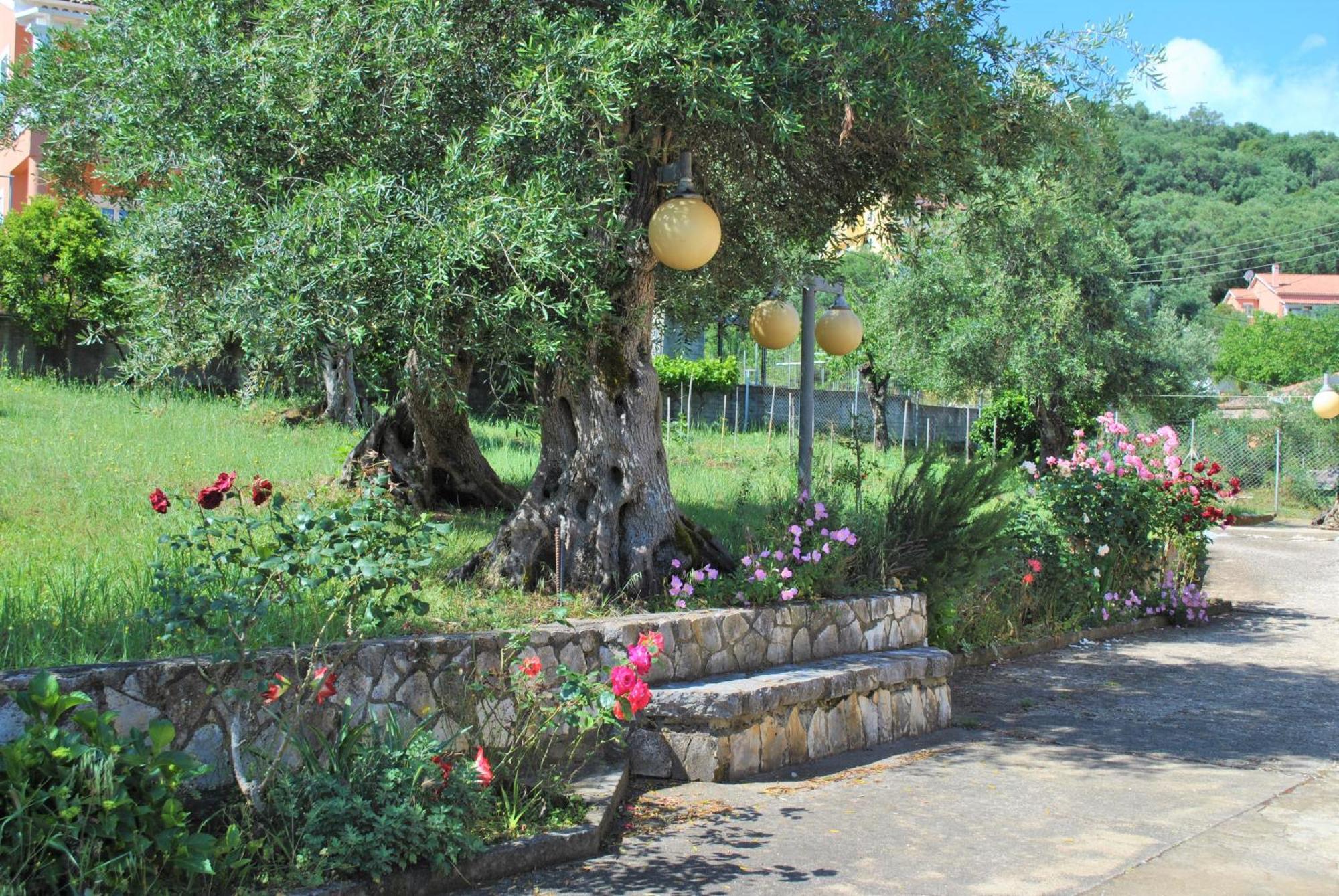 Lefkothea Apartments Kassiopi Buitenkant foto